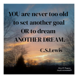 君は老けたことが無い ポスター