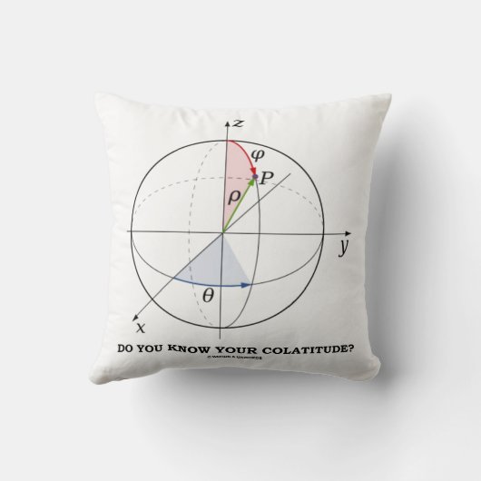 君は自分の冷淡さを知っているか幾何学の姿勢 クッション (裏面)