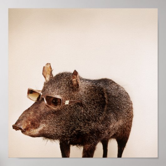 君は？ ポスター (正面)