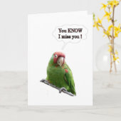 君を知っ恋しく思ている カード (黄色い花)