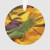 君を見ている – Grasshopper オーナメント (正面)