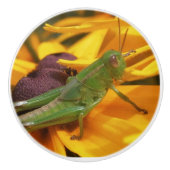 君を見ている – Grasshopper セラミックノブ (正面)