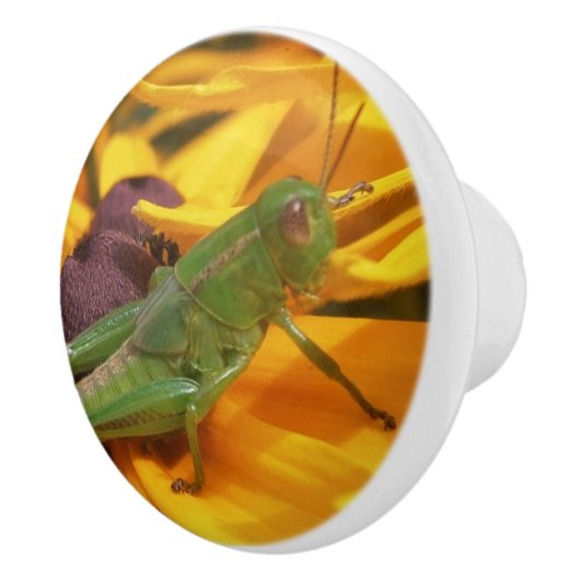 君を見ている – Grasshopper セラミックノブ (右)