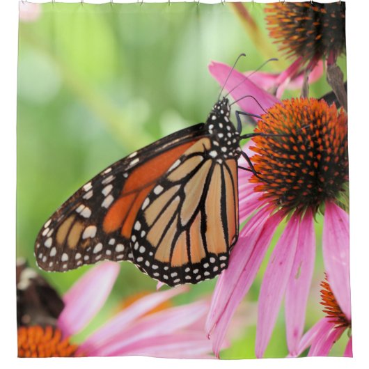 君主制シャワーカーテン シャワーカーテン (正面)