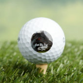 君得に目を向けろ ゴルフボール (インサイチュ 木)