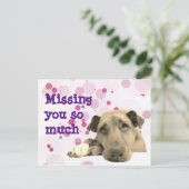 君恋しく思の悲しい犬 ポストカード (スタンド正面)