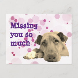 君恋しく思の悲しい犬 ポストカード