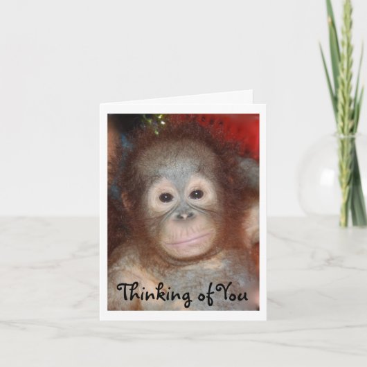 君恋しく思の悲しい顔のベビーアニマル カード (正面)