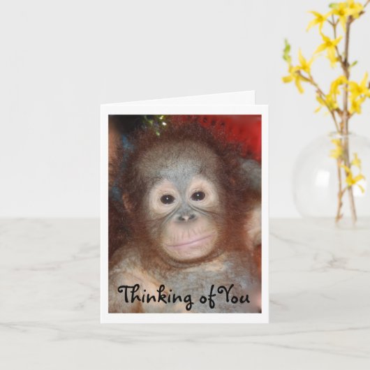 君恋しく思の悲しい顔のベビーアニマル カード (黄色い花)