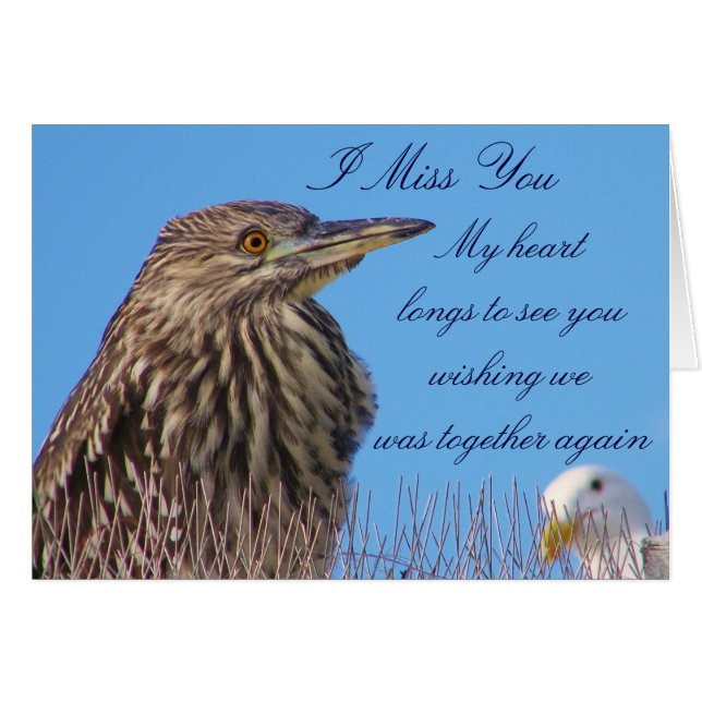 君恋しく思の_ (正面横)