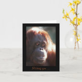 君恋しく思は… カード (黄色い花)