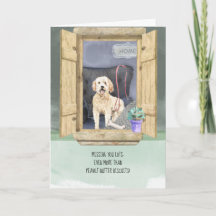 君恋しく思はGoldendoodle Dog Looking Windowだ