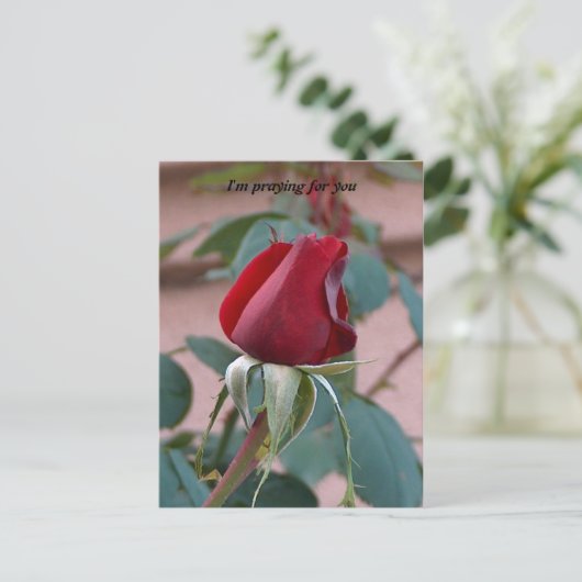 君祈の為に ポストカード (スタンド正面)