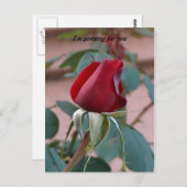 君祈の為に ポストカード (正面/裏面)