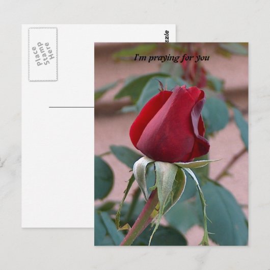 君祈の為に ポストカード (正面/裏面)