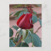 君祈の為に ポストカード (正面)