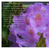 君素晴らしの忠義は ポストカード