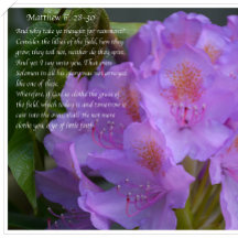 君素晴らしの忠義は