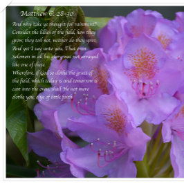 君素晴らしの忠義は ポストカード