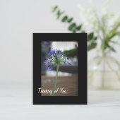 君考えの子だ。 ポストカード (スタンド正面)