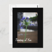 君考えの子だ。 ポストカード (正面/裏面)