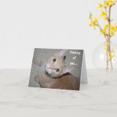 君考えの子猫 カード (黄色い花)