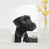 君考えの誕生日 カード (黄色い花)