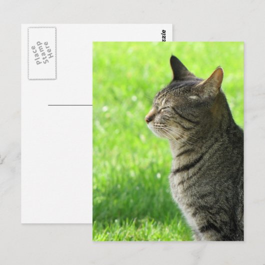 君考えの… ポストカード (正面/裏面)