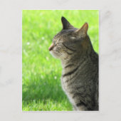 君考えの… ポストカード (正面)