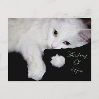 君考えの… ポストカード