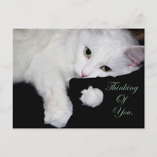 君考えの… ポストカード (正面)