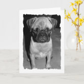 君考えるの事 カード (黄色い花)