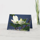 君考えるの カード (裏面)