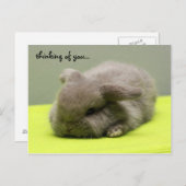 君考えるの… ポストカード (正面/裏面)