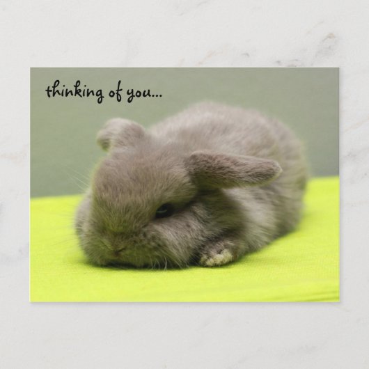 君考えるの… ポストカード (正面)