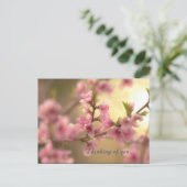 君考えるの… ポストカード (スタンド正面)