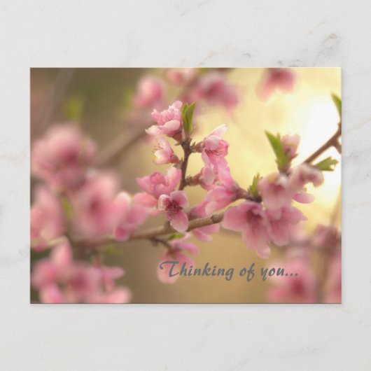 君考えるの… ポストカード (正面)