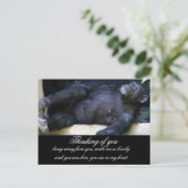 君考えるの_ ポストカード (スタンド正面)