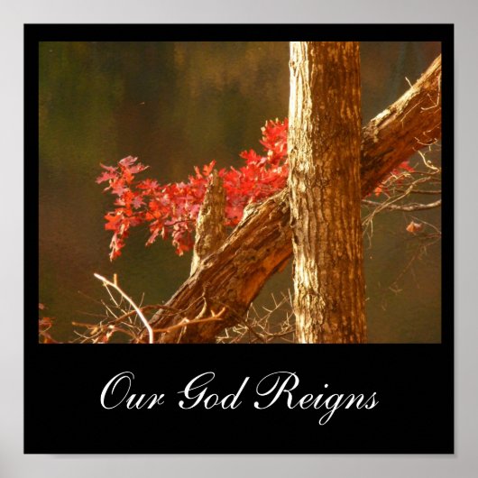 君臨 ポスター (正面)