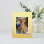 君読の日記 ポストカード (スタンド正面)