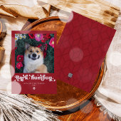 吠えよんぼく 犬の写真 面白いクリスマス シーズンカード