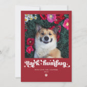 吠えよんぼ クリスマス 犬 フォト ユニーク (正面)