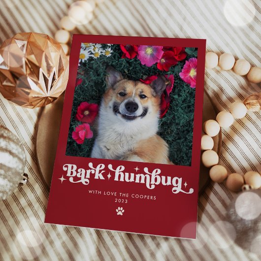 吠えよんぼ クリスマス 犬 フォト ユニーク