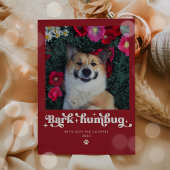 吠えよんぼ クリスマス 犬 フォト ユニーク