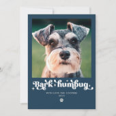 吠えよ、ハムバグ！犬の写真が面白いクリスマス シーズンカード (正面)