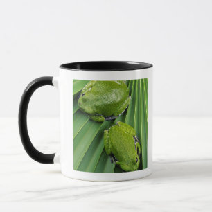 吠えるアマガエル(アマガエル属のgratiosa) マグカップ