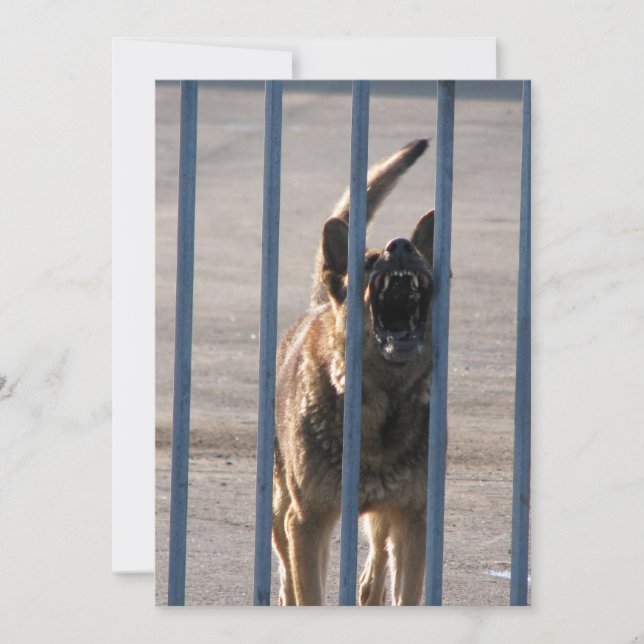 吠える犬 (正面)