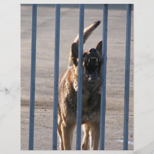 吠える犬 チラシ (正面)