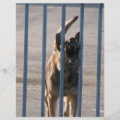 吠える犬 チラシ (裏面)