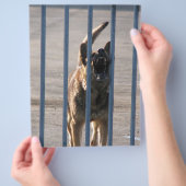 吠える犬 チラシ (手)